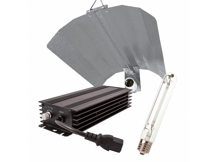 LUMii BLACK 600W SET KIT