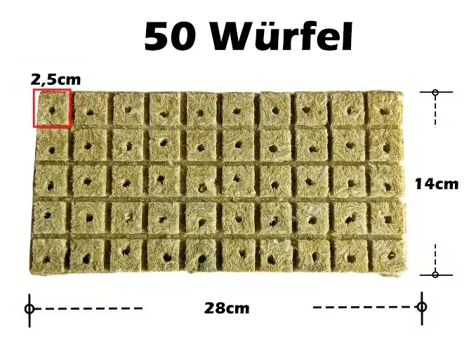 50 Steinwollwürfel Anzuchtmatte