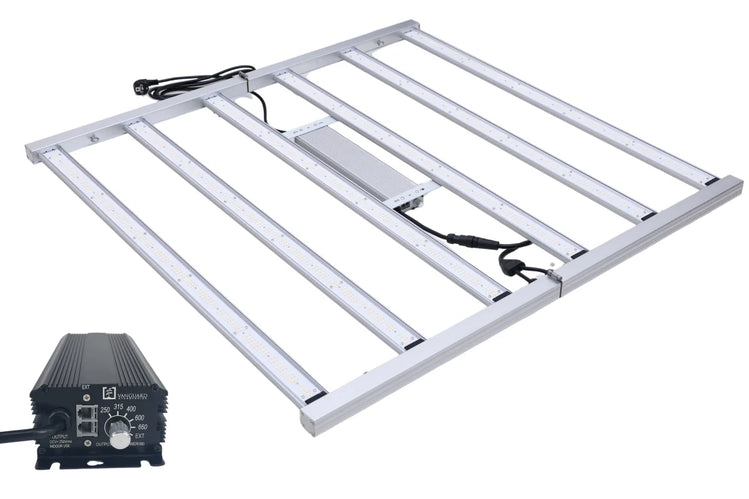 Set Komplett LED Master King 720W + Vorschaltgerät