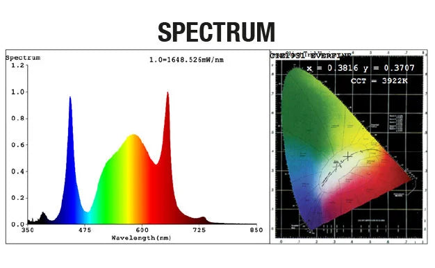 Calitek LED Quantum Bears 260W 2.8 μmol/J