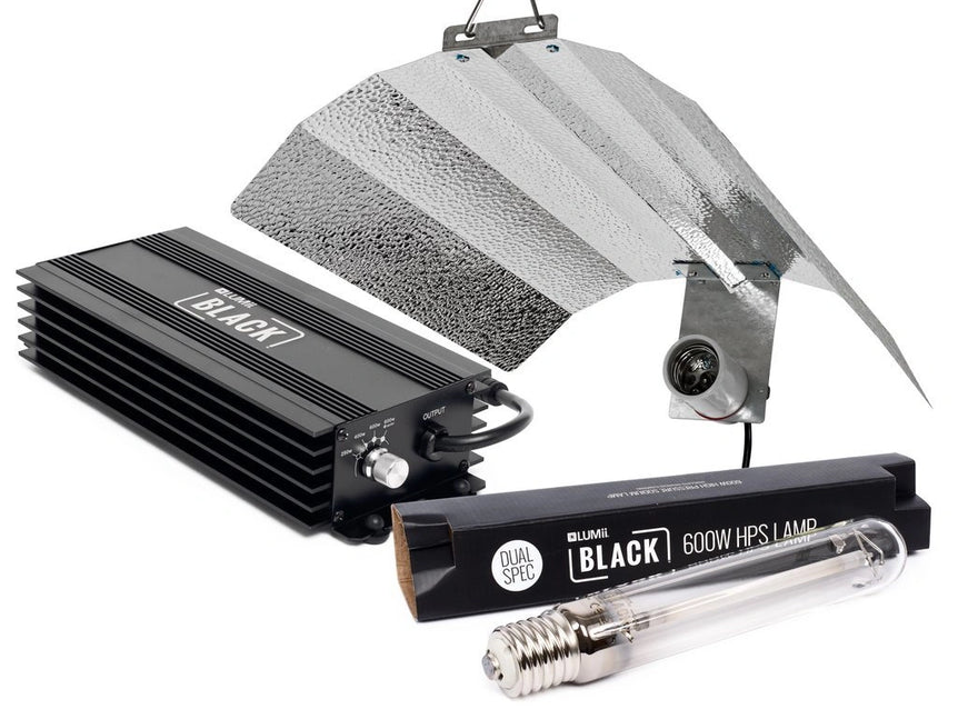 LUMii BLACK 600W SET KIT