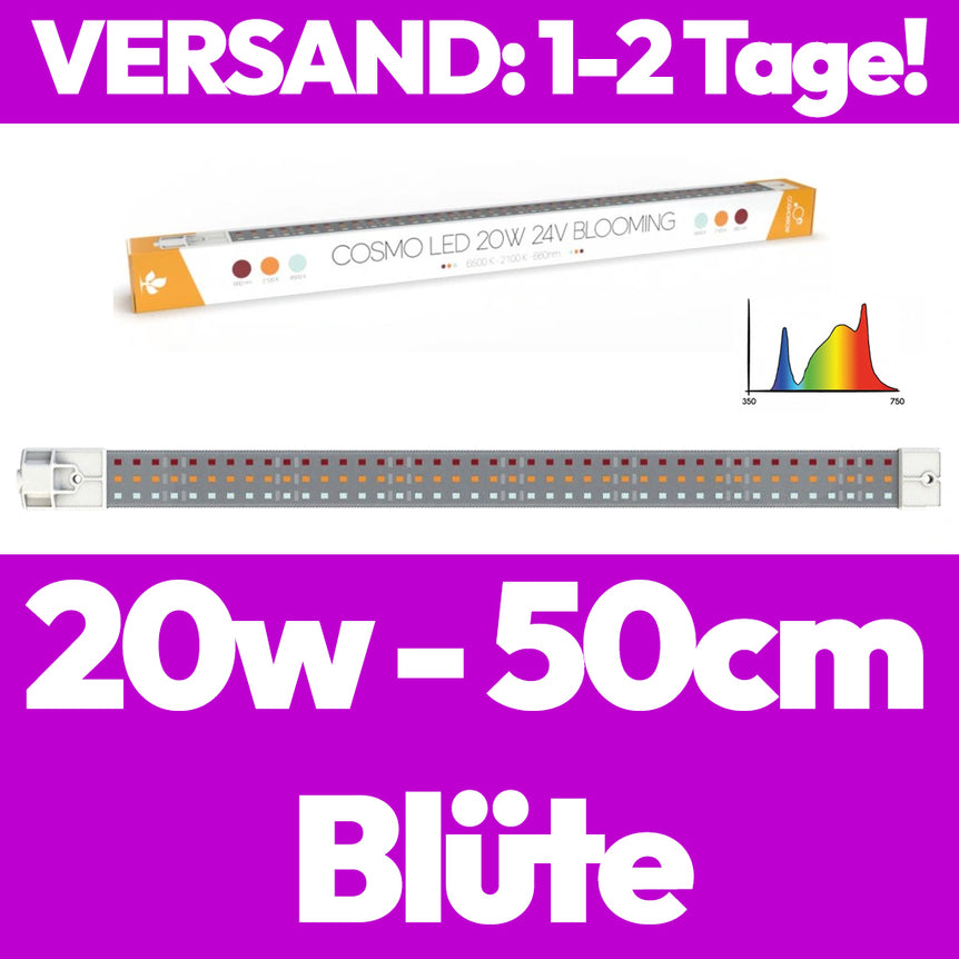 50cm Secret Jardin Cosmorrow Led 20w 24V Blüte