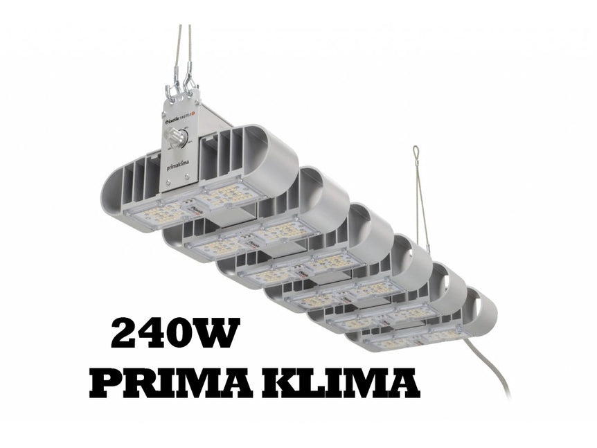PRIMA KLIMA 240W Lucilu Shuttle 6 Silber