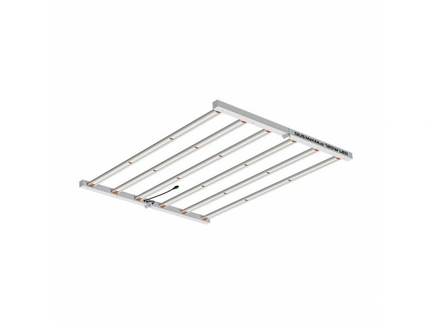 Led Light DIUS MAXIMUS 720W 2.7qmol/j