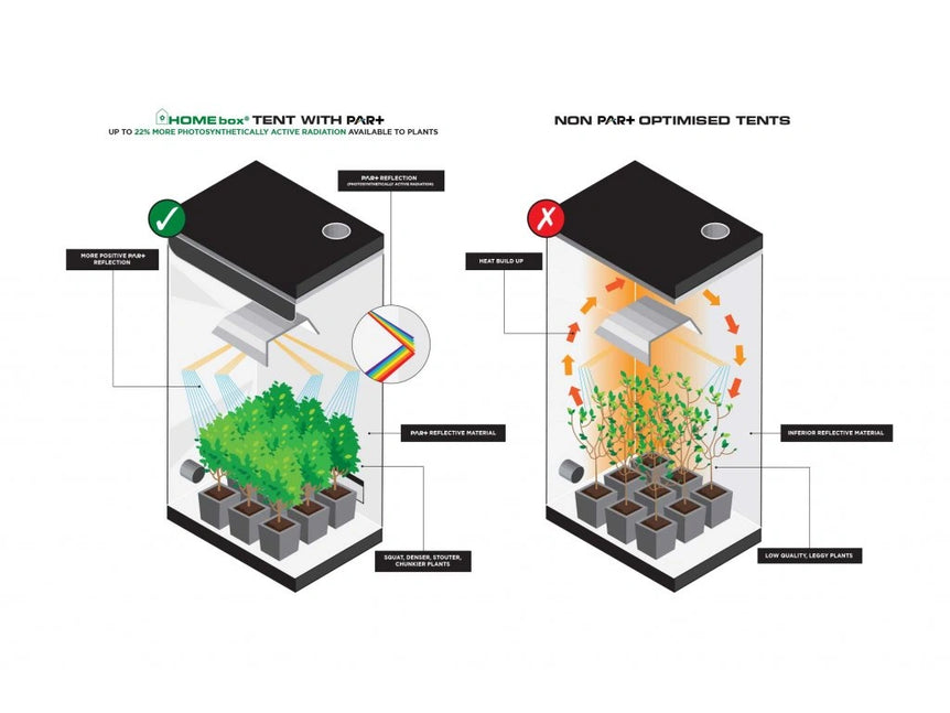 Homebox Ambient R240 – 240x120x200cm