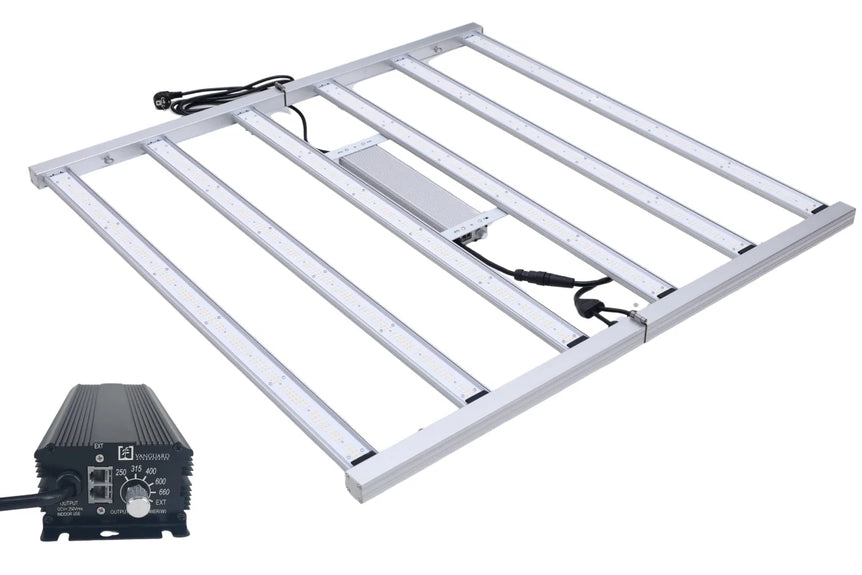 Set Komplett LED Master King 720W + Vorschaltgerät